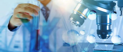 互联网营销如何助力化工行业企业拓展市场与提升效率